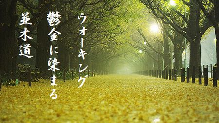 いちょう並木2文字