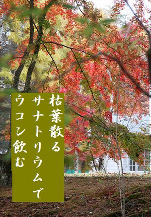 かるいざわ秋文字