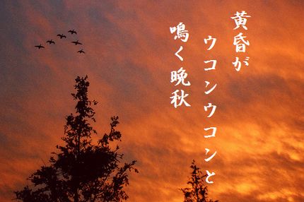 たそがれ鳥4文字