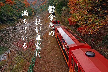 トロッコ列車(嵯峨野)文字新