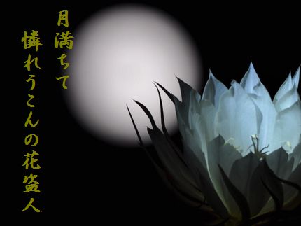 つきと花(月下美人)文字