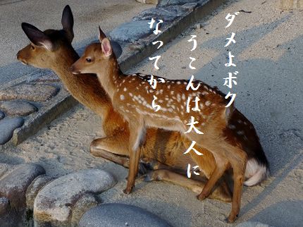 ははと子文字