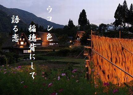 いなほ・合掌造り文字新