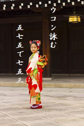 しち五三7文字