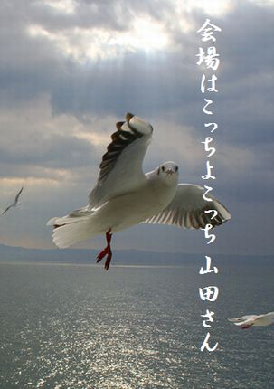 かもめ(アップ)見本