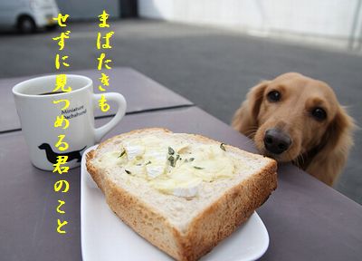 いぬとトースト胸キュン
