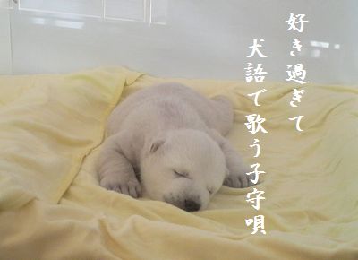 しろくま赤ちゃん胸キュン
