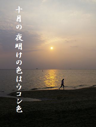 あさなぎ(稲毛海岸)文字