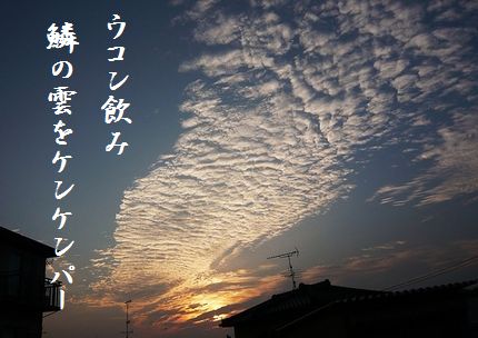 うろこ雲6文字