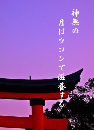 たそがれ鳥(宇佐神宮鳥居)文字