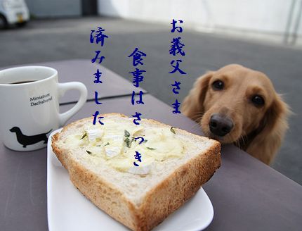 いぬとトーストお義父さま