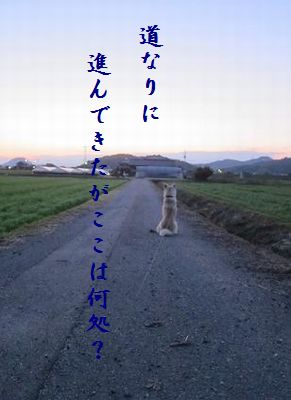 いぬ(帰りを待つ)ここは何処
