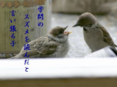 すずめの親子6学問のススメ