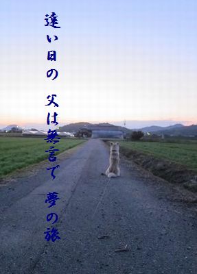 いぬ(帰りを待つ)夢の旅