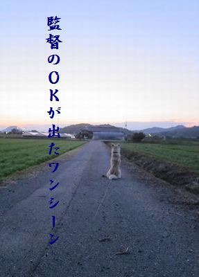 いぬ(帰りを待つ)監督