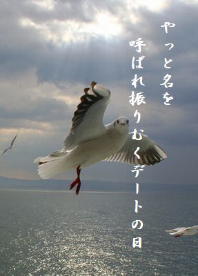 かもめ(アップ)名を呼ばれ