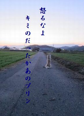 いぬ(帰りを待つ)プリン