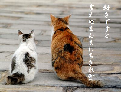 ねこ(デート)好きですと