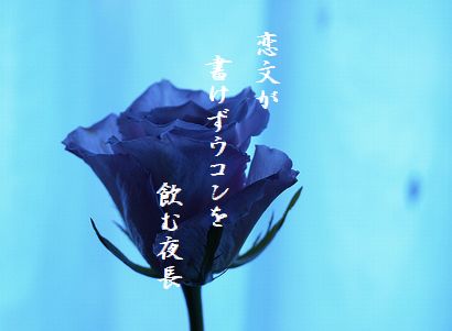 あおい薔薇10月秀作新