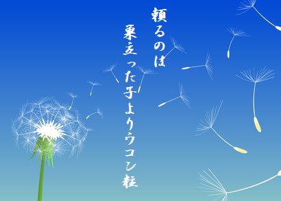 タンポポ2 10月秀作新