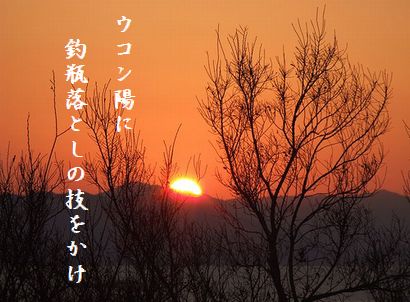 ゆうひ(冬) 10月秀作