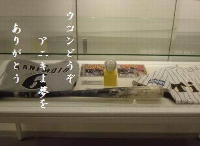 かなもと選手10月秀作