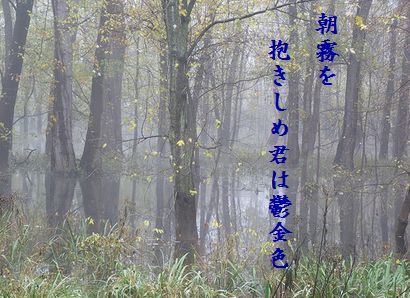 あさ霧410月秀作