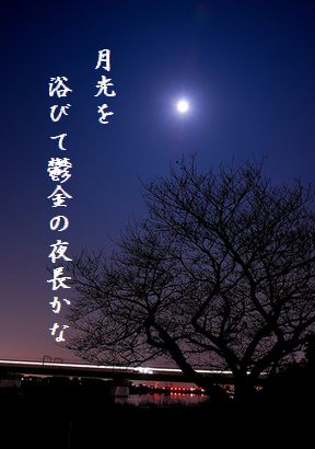 つきと大樹 10月秀作