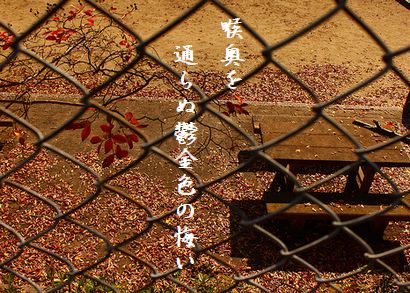 ベンチ紅葉喉奥10月