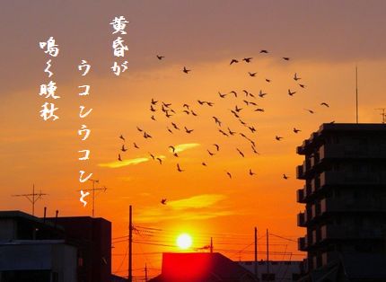 ゆうやけと鳥大10月天