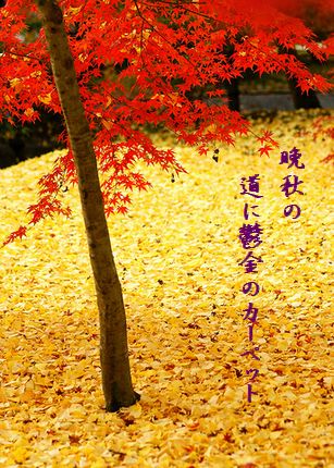 きょうと紅葉(永観堂)2文字