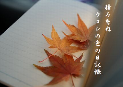 しおり(紅葉)3文字入