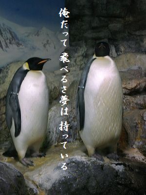 ペンギン(皇帝ペンギン)夢は持っている