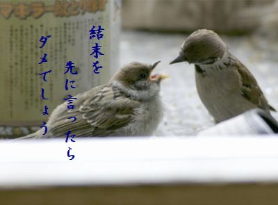 すずめの親子6 結末を言う