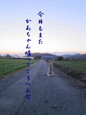 いぬ(帰りを待つ)母ちゃん帰らず