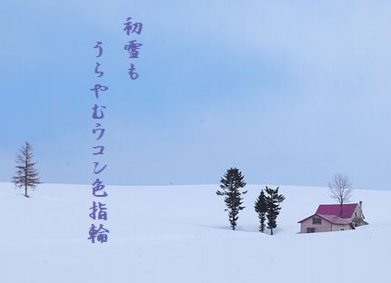 ゆき景色(北海道・美瑛の丘)文字入り新