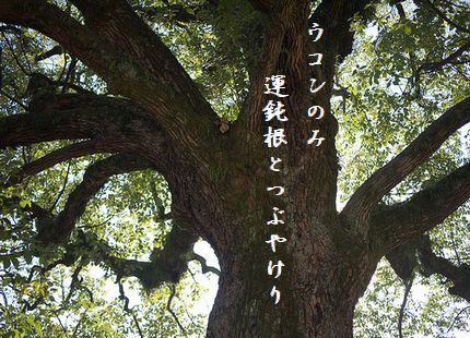 たいぼく文字