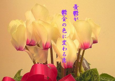 シクラメン(黄色)文字