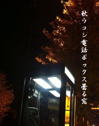 でんわボックス6文字