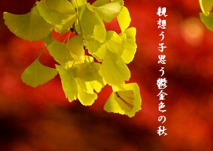 イチョウ2文字
