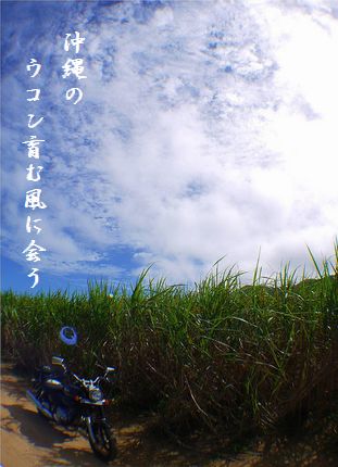いしがき島(サトウキビ畑)文字