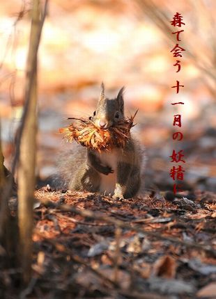 リス(巣作り)文字