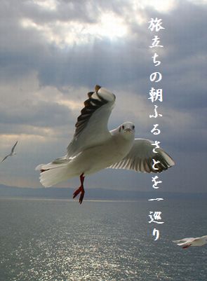 かもめ(アップ)ふるさと一巡り