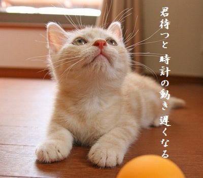 ネコ(ちびネコ)時計の動き遅い