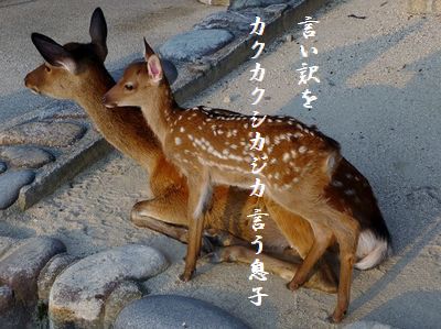 ははと子言い訳