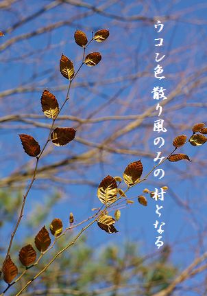 ふゆ枯れ8文字