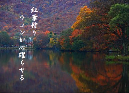 こうよう(五色沼)文字