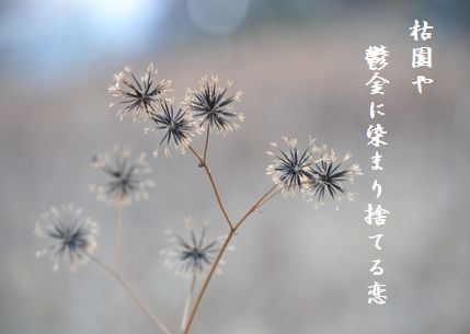 ふゆ枯れ6捨てる恋