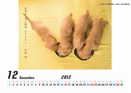 いぬの赤ちゃんカレンダー新新恋の相談460