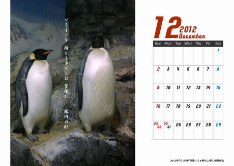 ペンギンカレンダー新皇帝460